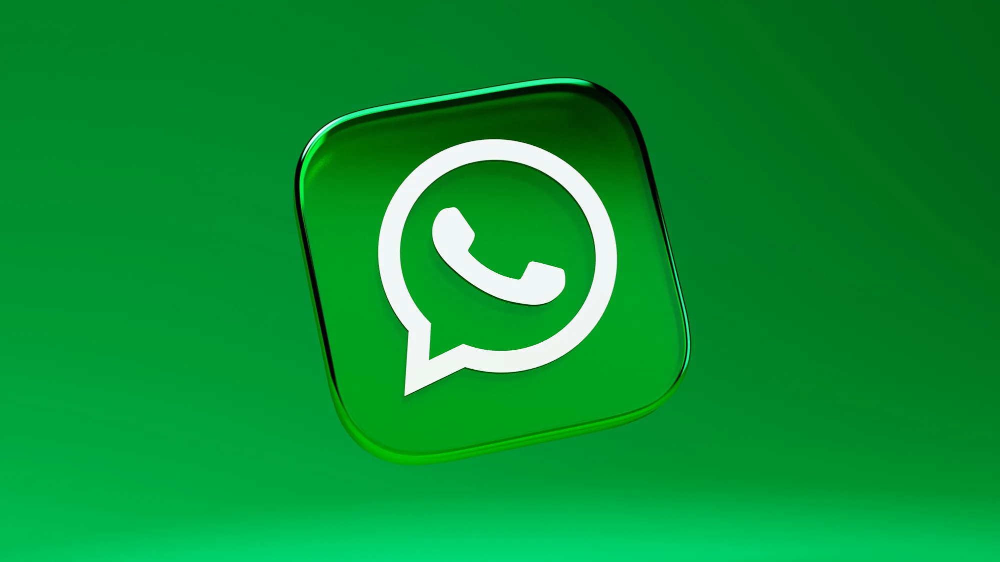 WhatsApp Cloud Control Information - How to obtain WhatsApp follower data?